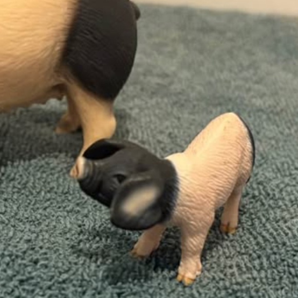 Schleich Pigs/Hogs with piglets - Picture 4 of 4